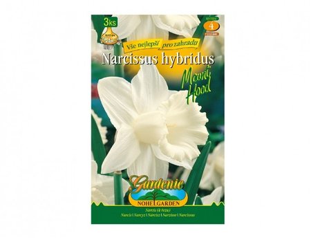 Cibulky - Narcis zahradn, trubkovit MOUNT HOOD, 3 ks