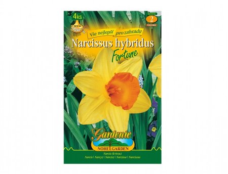 Cibulky - Narcis zahradn, velkokorunn FORTUNE, 4 ks