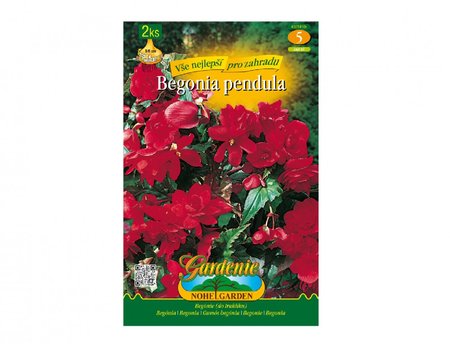 Cibulky - Begnie pevisl RED, 2 ks