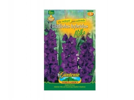 Cibulky - Gladiola velkokvt MILKA, 6 ks