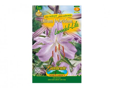 Cibulky - Lilie, asijsk hybridy LAVENDEL - LILA, 1 ks