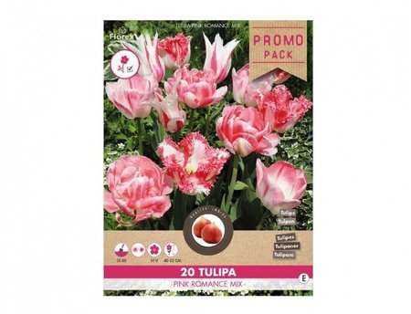 Cibulky - Tulipn - sms PINK ROMANCE, 20ks