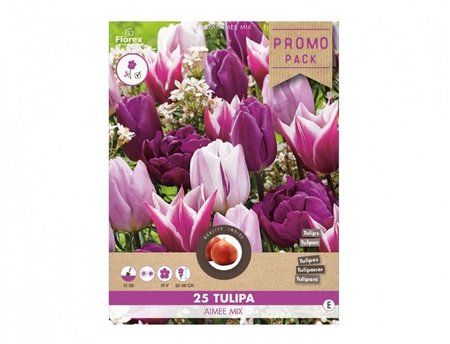 Cibulky - Tulipn - sms AIMEE, 25ks