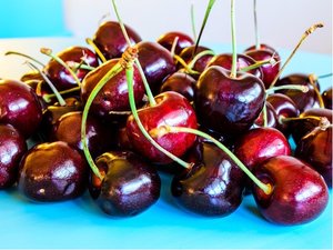 Tee BLACK CHERRIES - podno Mahalebka v kontejneru