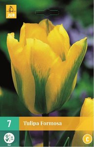 Cibulky - Tulipn FORMOSA, 7 ks