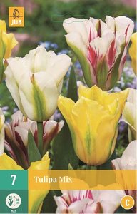 Cibulky - Tulipn VIRIDIFLORA MIX, 7 ks