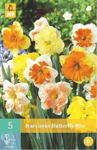 Cibulky - Narcis BUTTERFLY MIX, 5 ks